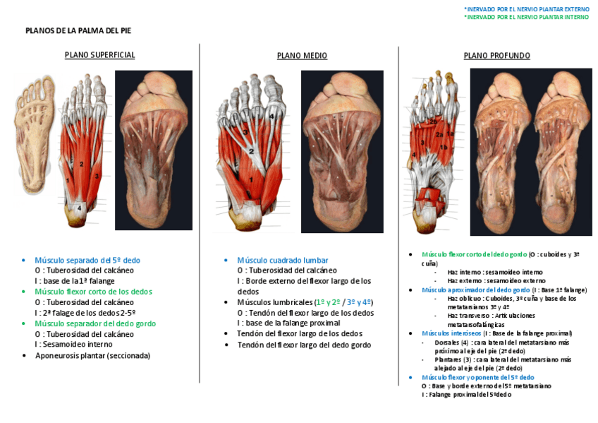 Miniatura del documento PLANOS-DE-LA-PALMA-DEL-PIE.pdf