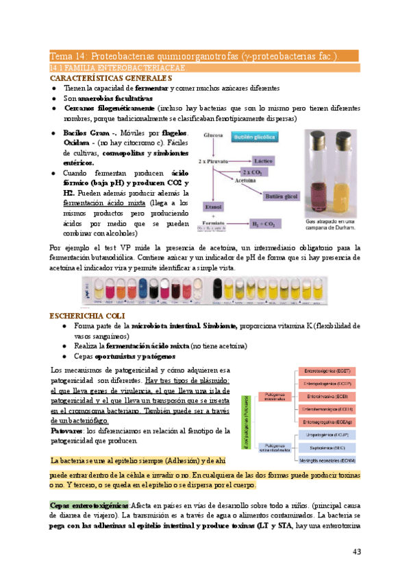 Miniatura del documento MIC2-Tema14.pdf