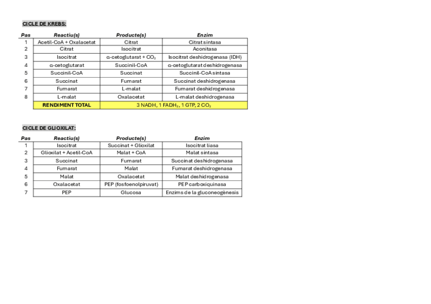Miniatura del documento Taules-resum-Cicle-de-Krebs-i-Cicle-de-Glioxilat.pdf