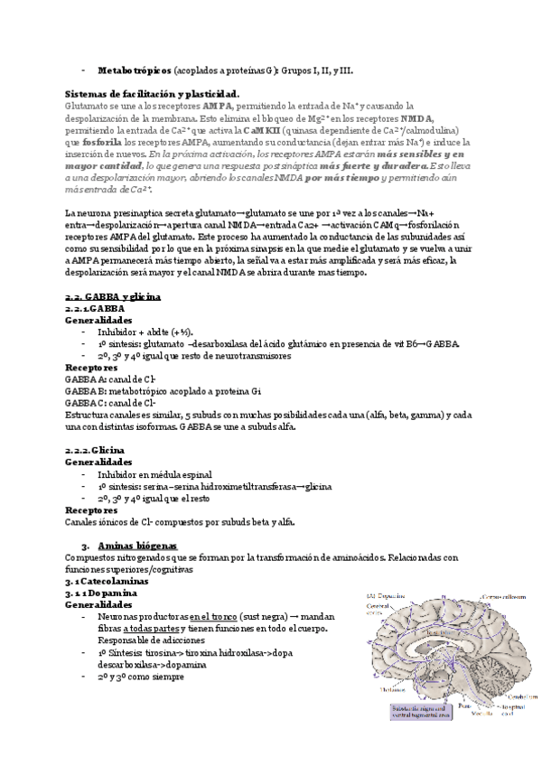 Miniatura del documento segunda-parte-de-nervioso.pdf