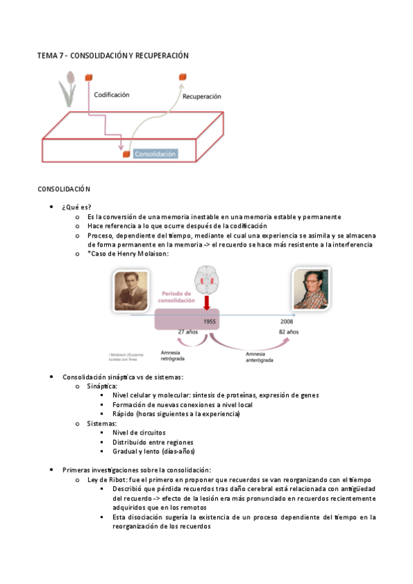 Miniatura del documento TEMA-7.-MEM.pdf