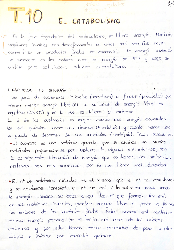 Miniatura del documento Tema-10-Catabolismo.pdf