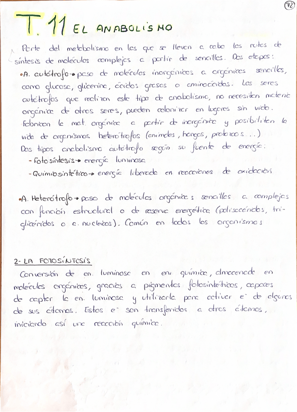 Miniatura del documento Tema-11-Anabolismo.pdf