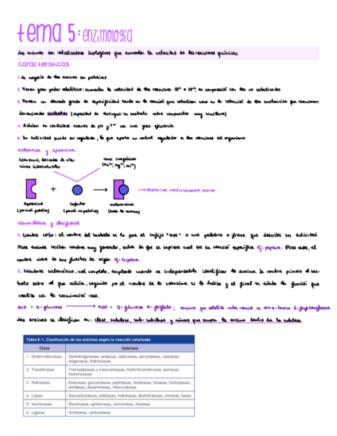 Miniatura del documento Bioquimica-temas-5-y-6.pdf