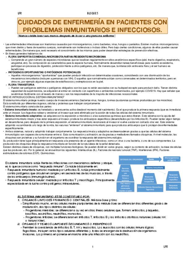 Miniatura del documento ADULTO-1-Bloque-5.pdf