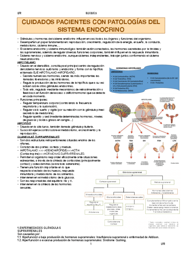 Miniatura del documento ADULTO-1-BLOQUE-6.pdf