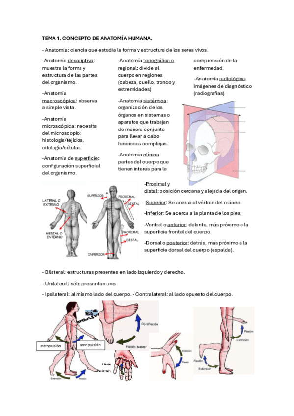 Miniatura del documento TEMA1.pdf