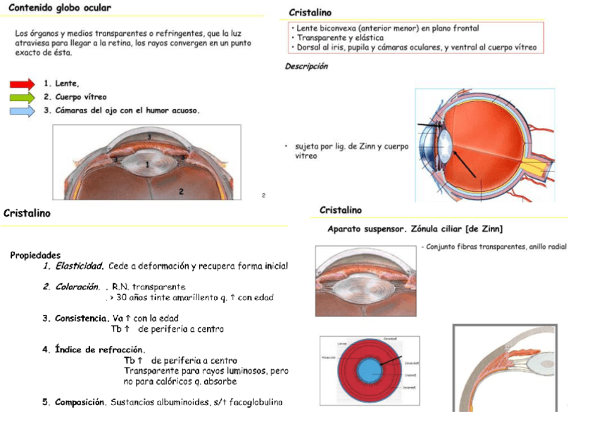 Miniatura del documento TEMA9-MEDIOS-TRANSPARENTES-Y-REFRINGENTES..pdf