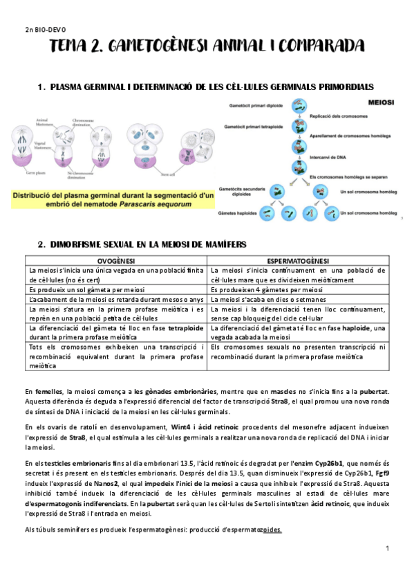 Miniatura del documento Biologia-del-desenvolupament-1r-parcial-2-7.pdf