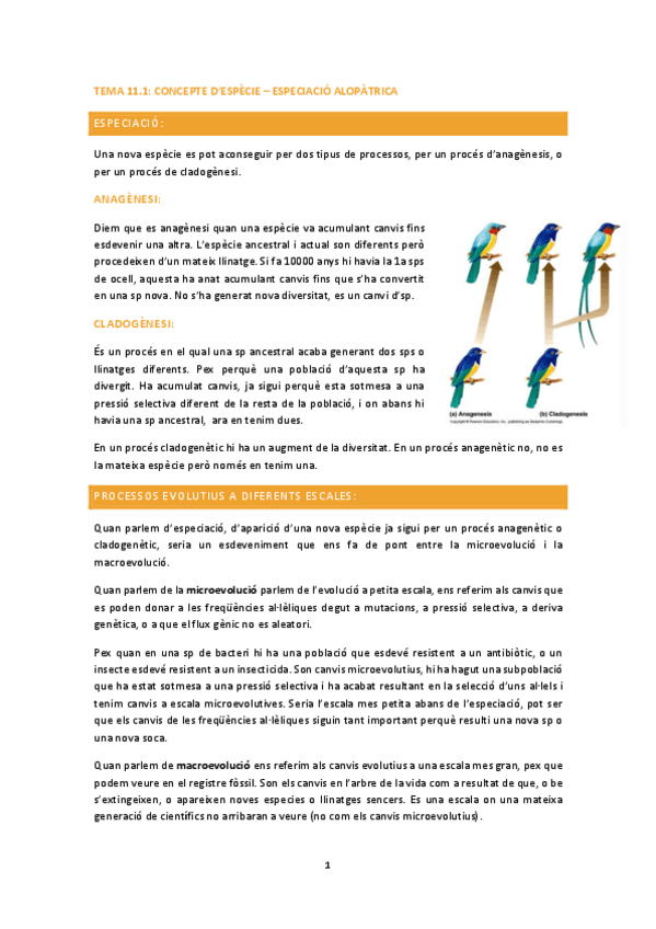 Miniatura del documento evolucio-T11.pdf