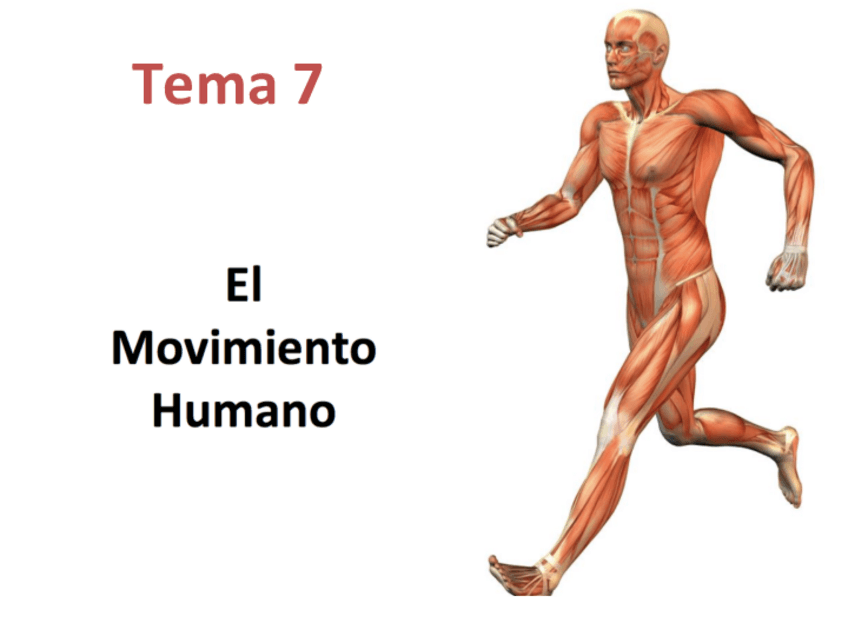 Miniatura del documento UN-20-tema-7-1.pdf