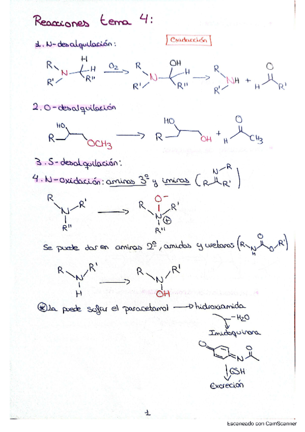 Miniatura del documento resumenes-reacciones-tema-4.pdf