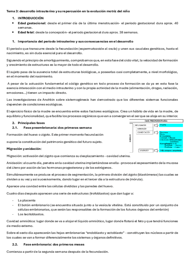 Miniatura del documento Comportamiento-motor-tema-3.pdf