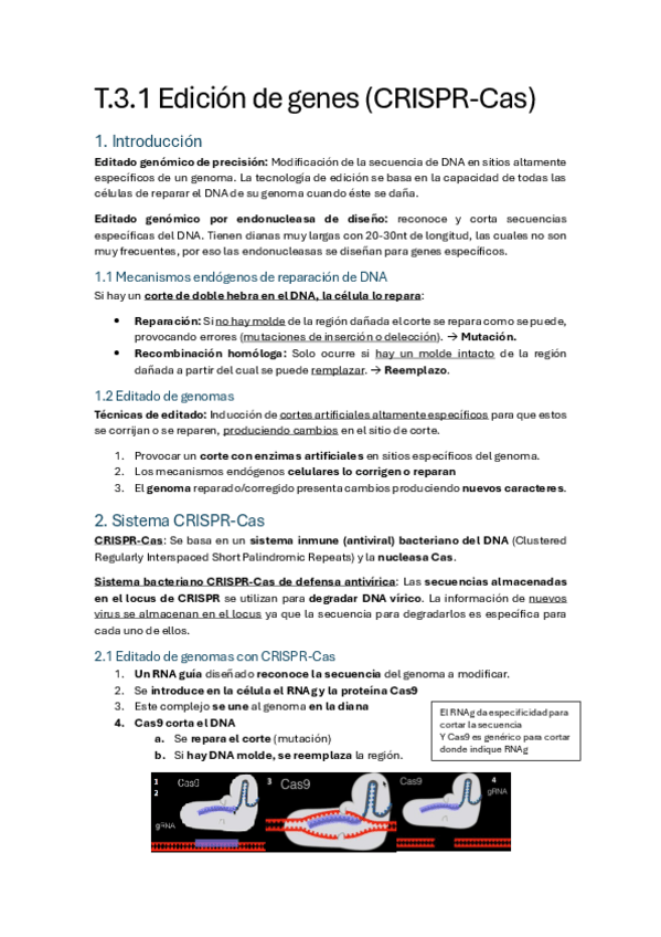 Miniatura del documento Bloque-T.3.pdf