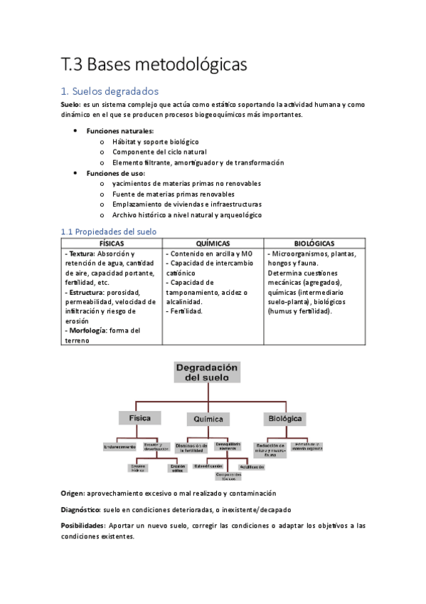 Miniatura del documento T.3-Bases-metodologicas.pdf