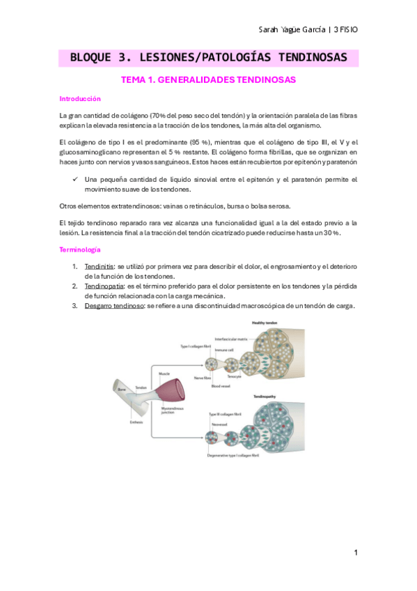 Miniatura del documento Bloque-3-T1-Generalidades-tendon.pdf