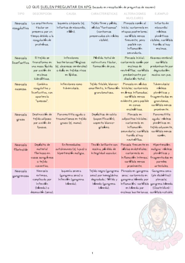 Miniatura del documento LO-QUE-SUELEN-PREGUNTAR-EN-APG-PUPI.pdf
