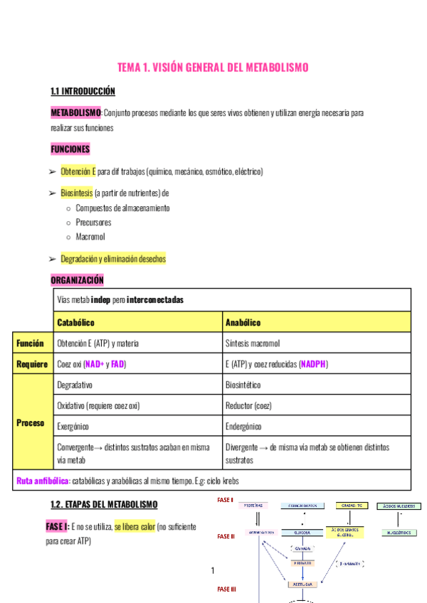 Miniatura del documento Tema-1.-Visión -general-del-metabolismo.pdf