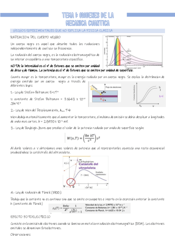 Miniatura del documento TEMA-1.pdf