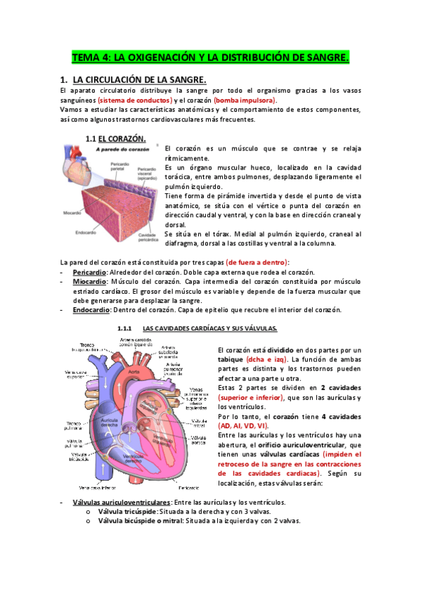 Miniatura del documento TEMA-4.-La-oxigenacion-y-la-distribucion-de-la-sangre.pdf