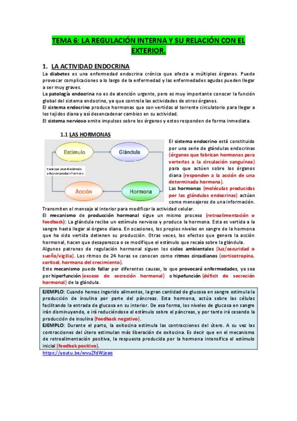 Miniatura del documento TEMA-6.-La-regulacion-interna-y-su-relacion-con-el-exterior.pdf