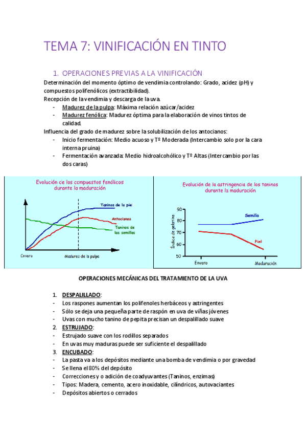 Miniatura del documento VINOS-TINTOS-TOTAL.pdf