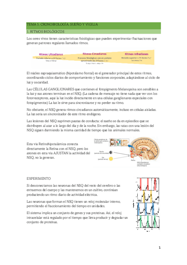 Miniatura del documento TEMA-5-piscologia-fisiologica.pdf