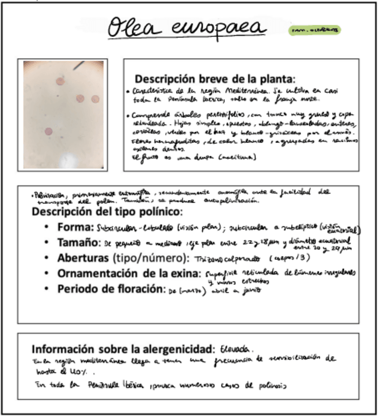 Miniatura del documento Practicas-De-Aerobiologia-Nota-10.pdf