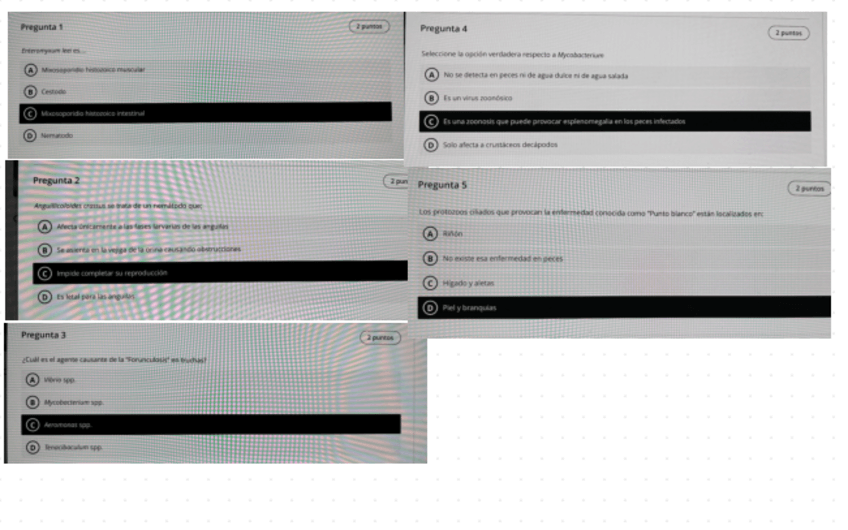 Miniatura del documento Examen-Acui-Taller-2.pdf
