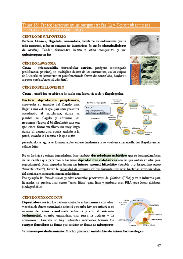 Miniatura del documento MIC2-Tema15.pdf