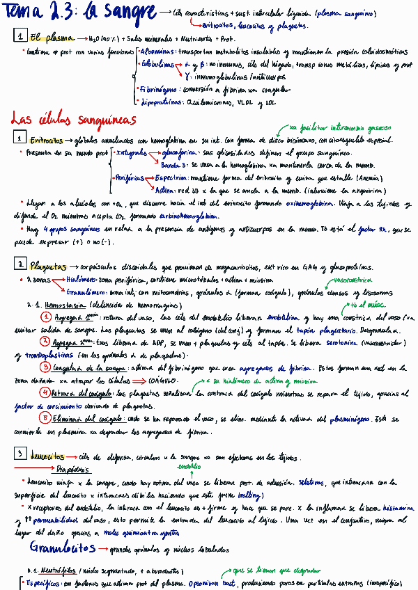 Miniatura del documento Tema-2.3-La-sangre.pdf
