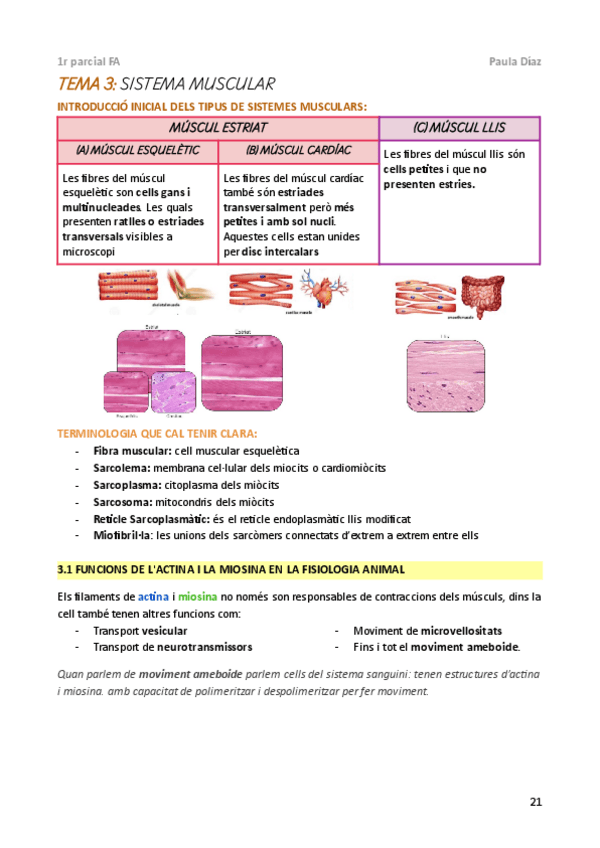 Miniatura del documento FA-1r-parcial-t-3-I.pdf