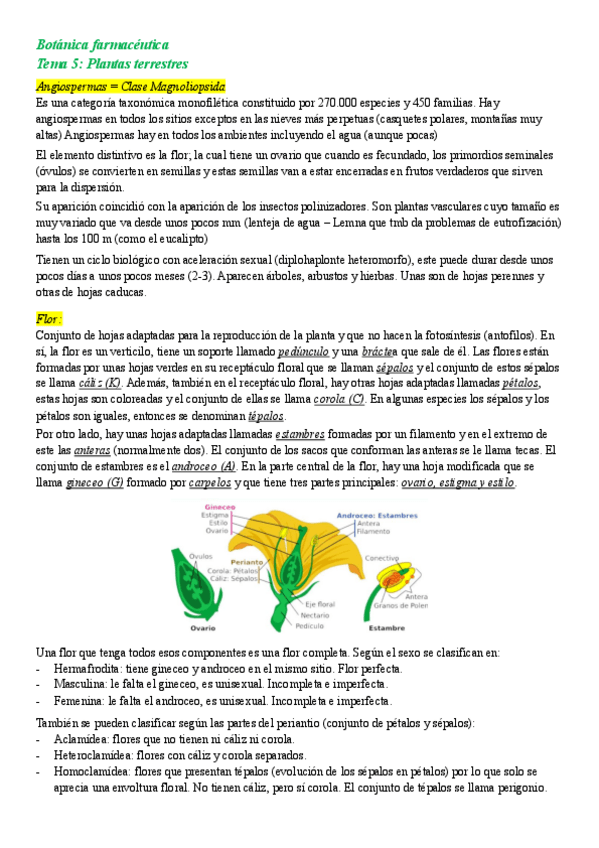 Miniatura del documento Angiospermas.pdf