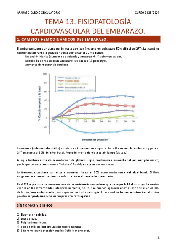 Miniatura del documento Resumen-Tema-13.pdf