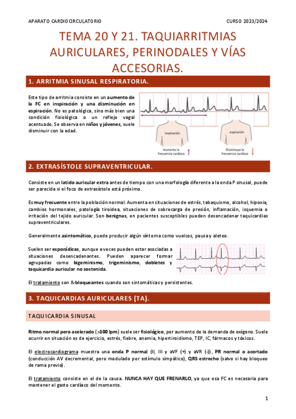 Miniatura del documento Resumen-Tema-20-y-21.pdf