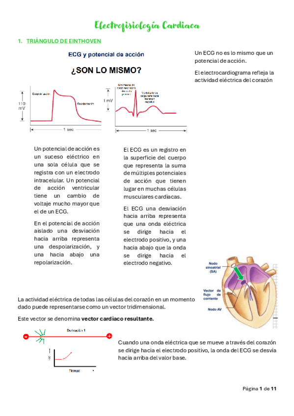 Miniatura del documento Tema-3.-Electrofisiologia-Cardiaca.pdf