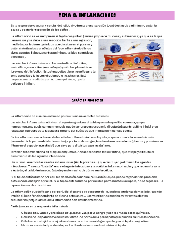 Miniatura del documento Inflamaciones-1.pdf