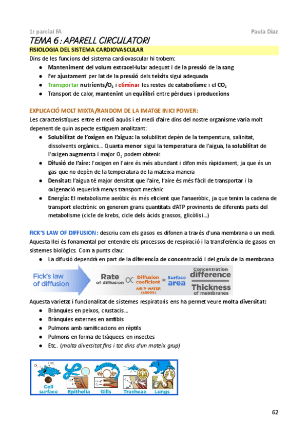 Miniatura del documento FA-1r-parcial-t-6.pdf