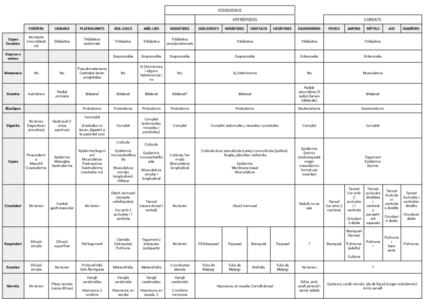 Miniatura del documento Taula-comparativa-zoologia.pdf