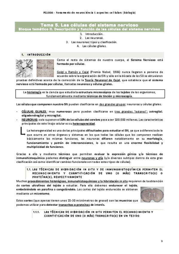 Miniatura del documento tema-5-fundamentos-de-neurociencia.pdf