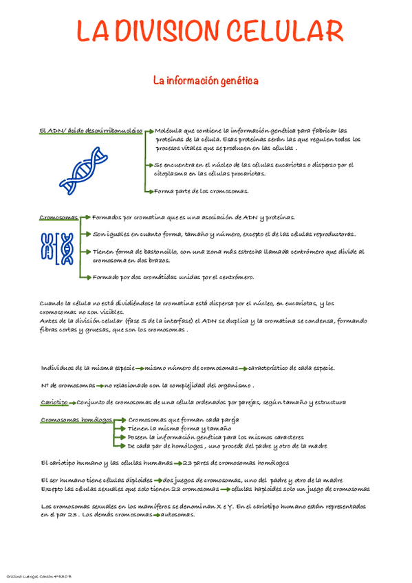 Miniatura del documento La-division-celular.pdf