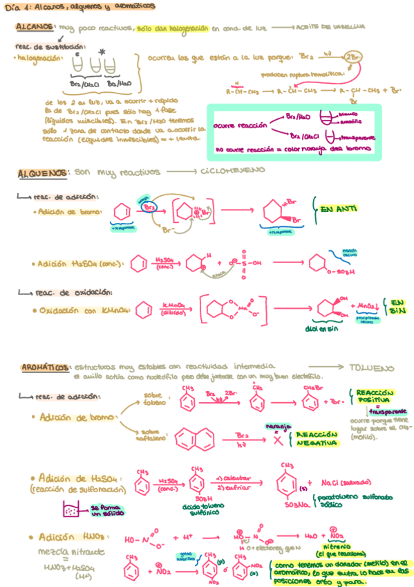 Miniatura del documento Resumen-Practicas-Organica-24-25.pdf
