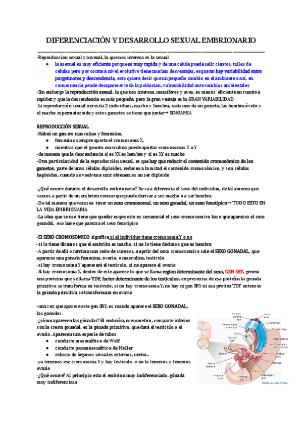 Miniatura del documento TEMA-45-Documentos-de-Google.pdf
