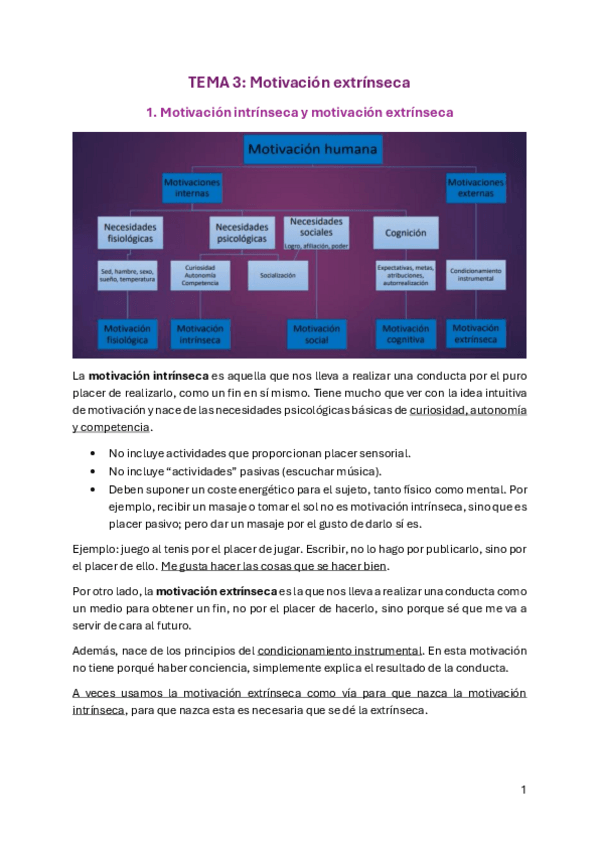 Miniatura del documento Tema-3-MyE-Motivacion-extrinseca.pdf