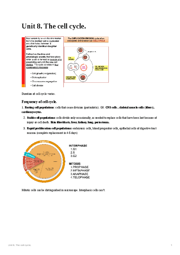 Miniatura del documento Unit-8.pdf