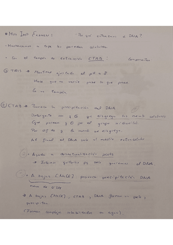 Miniatura del documento Practicas-laboratorio-ADN-apoyo.pdf