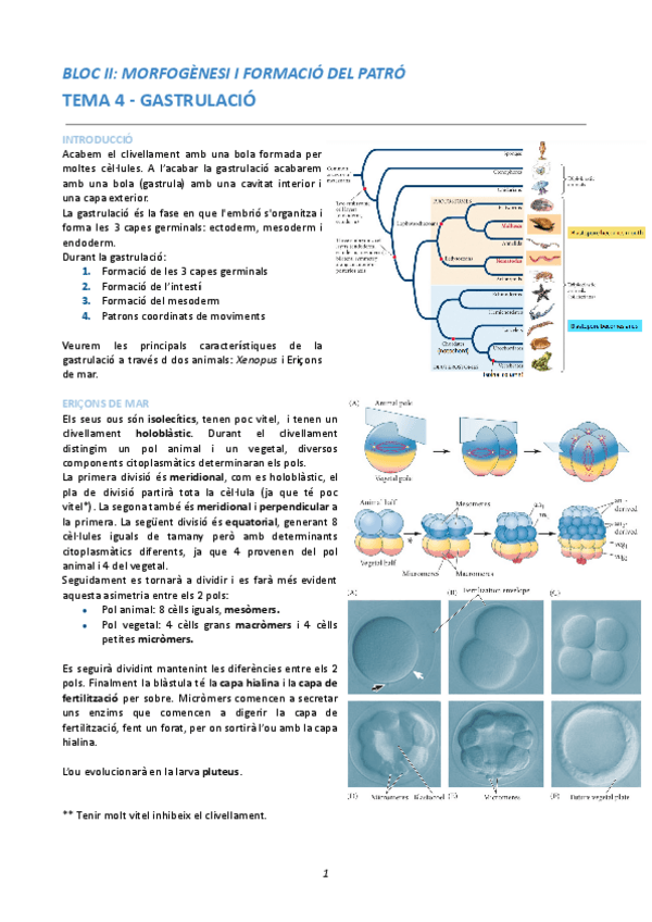 Miniatura del documento BIODESBloc-II.pdf