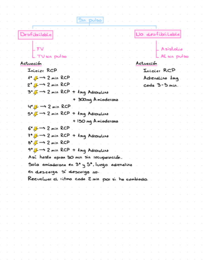 Miniatura del documento Electros-Y-Actuaciones.pdf
