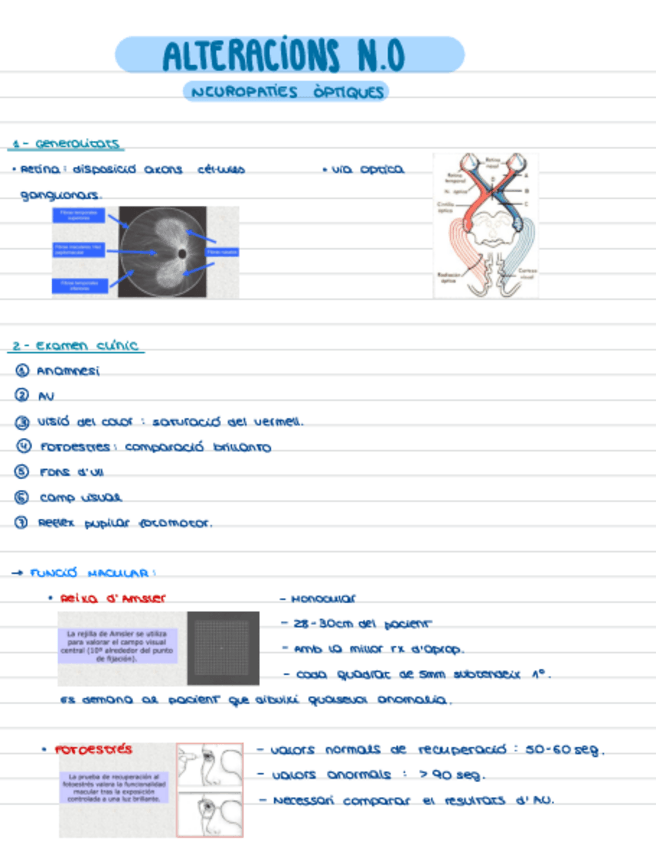 Miniatura del documento T4-Alteracions-NO.pdf