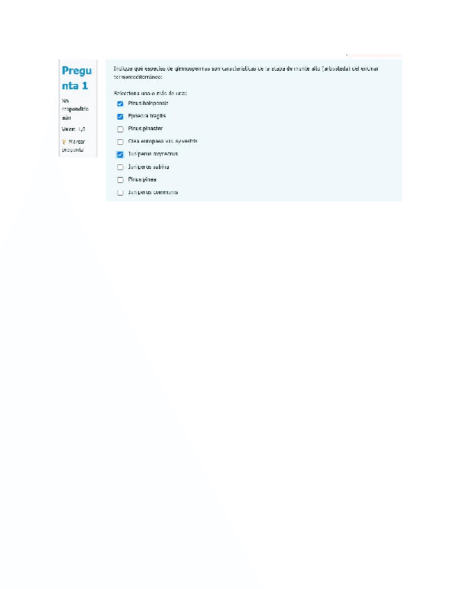 Miniatura del documento Cuestionario-salida-de-campo-1.pdf
